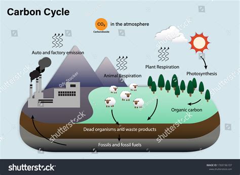 1,655 Pollution Cycle Atmosphere Images, Stock Photos & Vectors | Shutterstock