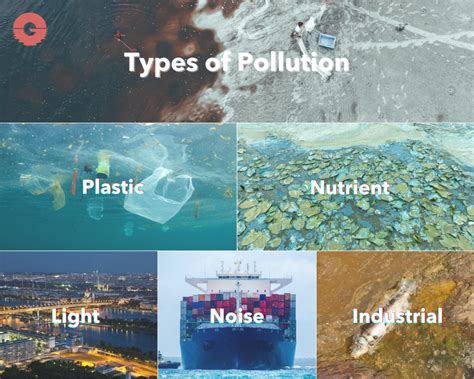 Main Types of Pollution 的图像结果
