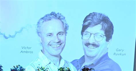 2 scientists share medicine Nobel for discovery of microRNA - Rediff ...