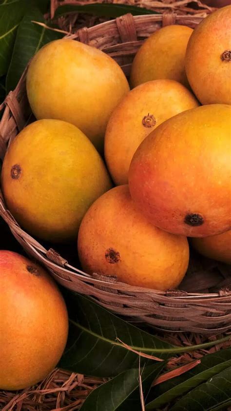 In boost to health, electronics, Indian Institute of Science finds way ...