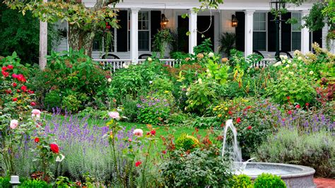 The 10 Most Fragrant Flowers To Plant In Your Garden at Irene Ahmed blog