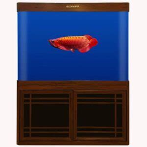 RS-100HF RS120HF RS150HF AQUARIUM SET | FRESHWATERAQUATICA