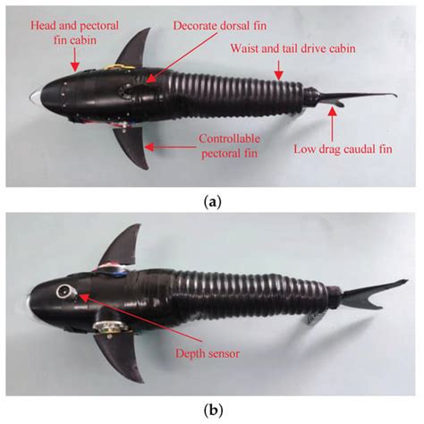 Spatial Domain Image Fusion with Particle Swarm Optimization and ...