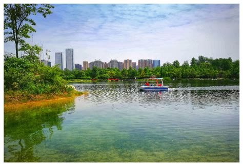 【携程攻略】成都成都锦城公园景点,很值得去，里面有湖泊、小桥流水、草地，可以观岛上的飞鸟，可以观环…