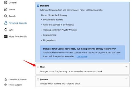 Cross Site Tracking 的图像结果