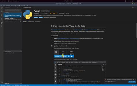 PIP Installer in vs Code 的图像结果
