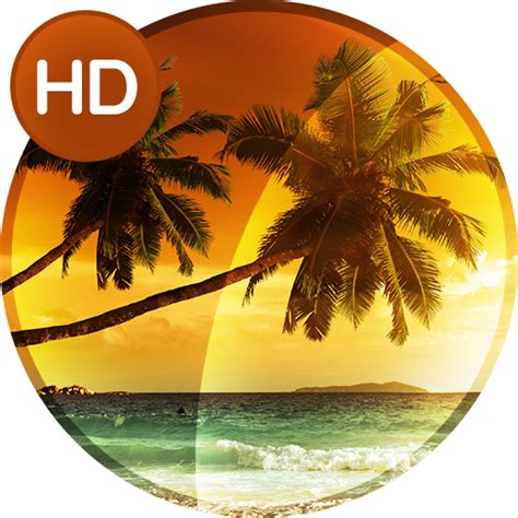 Tropical wallpapers in 4K – Apps on Google Play