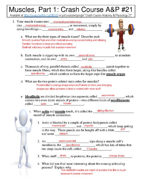 Image result for Crash Course A&P