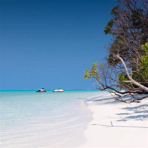 DREAM CORAL (Thoddoo) - Lodge Reviews & Photos - Tripadvisor