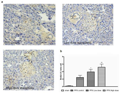 IJMS | Special Issue : Nutritional Control of Metabolism