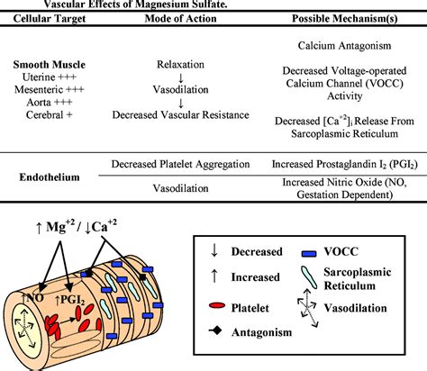 Magnesium Sulfate Overdose Treatment at Cynthia Davidson blog