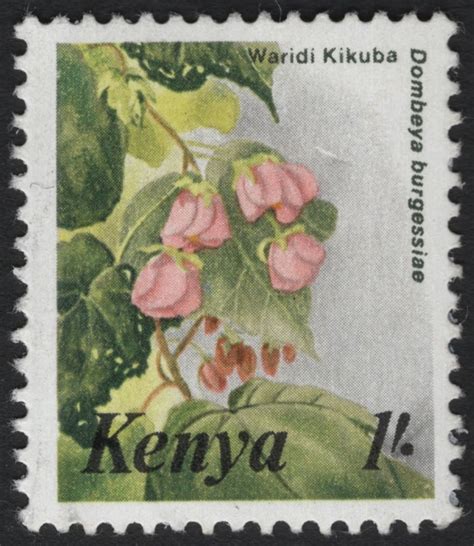 SCG6827 - Kenya – “Waridi Kikuba” (Dombeya burgessiae) – 1 Shilling ...