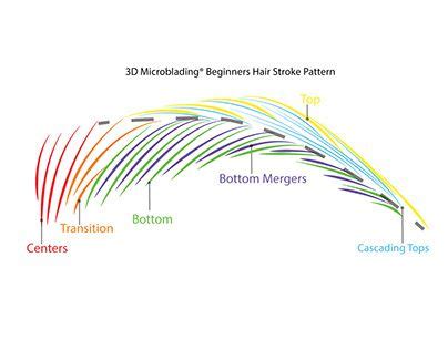 Image result for Microblading Hair Stroke Patterns