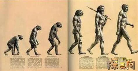 人类起源又一颠覆性猜想？人类祖先不是猴子，它更接近真相