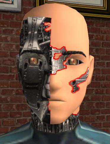 Image result for Sims Terminator Mod