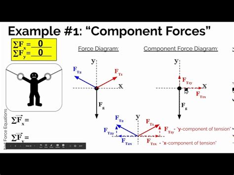 Image result for Tension Force Muscle Graph