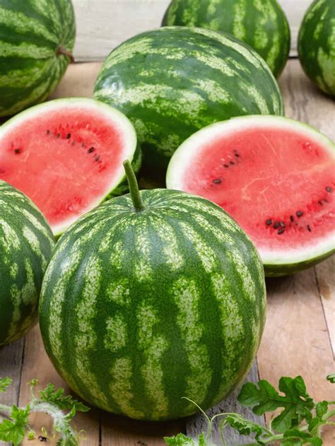 Is Watermelon A Vegetable