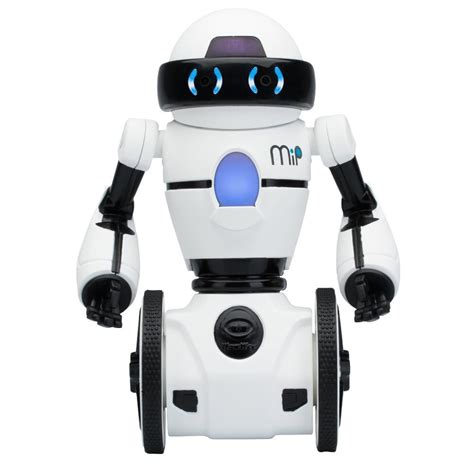 MIP Balancing Robot 的图像结果