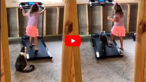 Little Girl Turns Gym Trainer To Cat Viral Video Google Trends ...