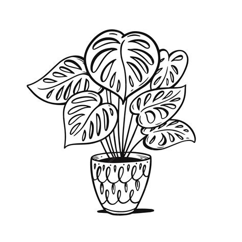 Premium Vector | A black and white drawing of a plant in a pot.