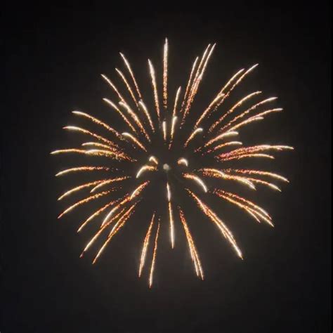 Image result for Firework Shell Made