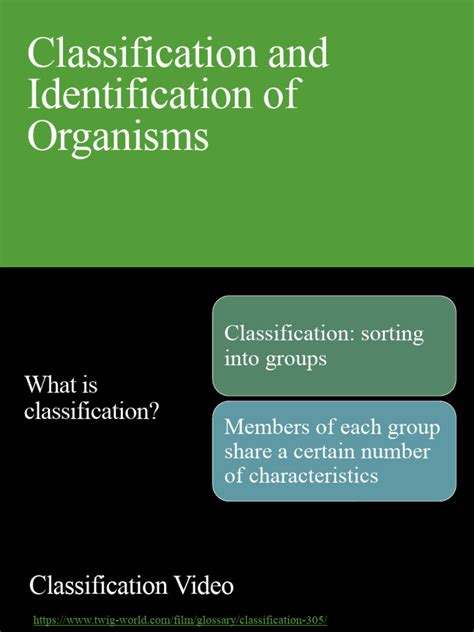 Image result for Example of Classification