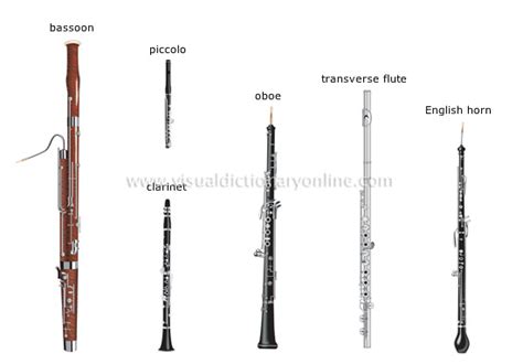 Image result for All Types of Wind Instruments