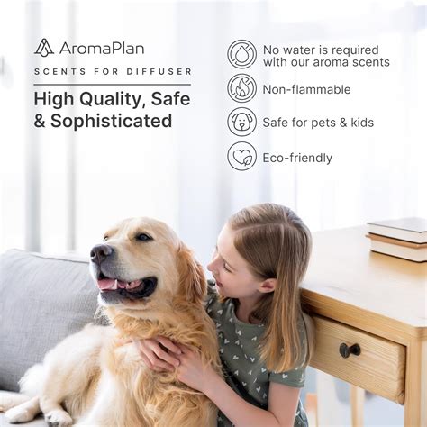 AromaPlan Bundle: White Smart Scent Air Machine + India | Ubuy
