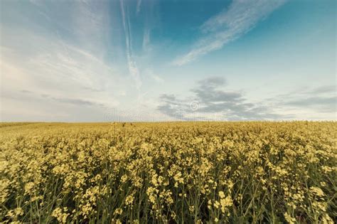 Image result for HTML Screen with Simple Program