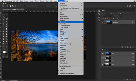 Image result for Photoshop Channels Tutorial
