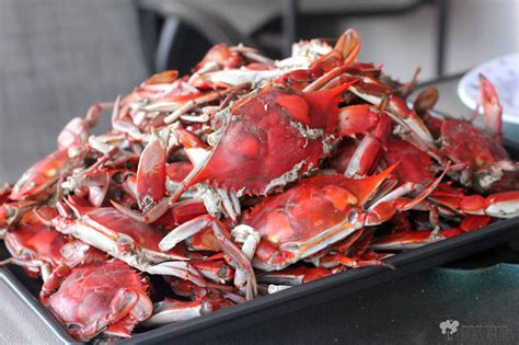 Boiled Blue Crabs Poster Crab Cooked Blue Crabs – Muurposter