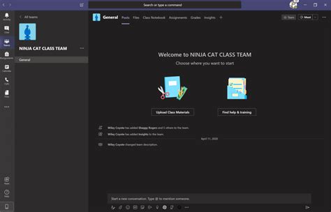 Image result for Microsoft Teams Screen Layout
