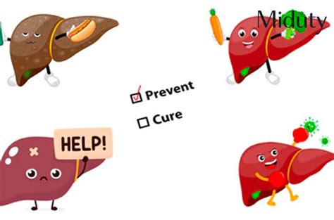Fatty Liver Problems: Dangers to Watch For and Reversal Techniques - Miduty