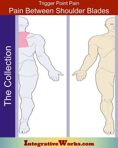 What Is Sharp Pain Between Shoulder Blades at Melissa Knop blog