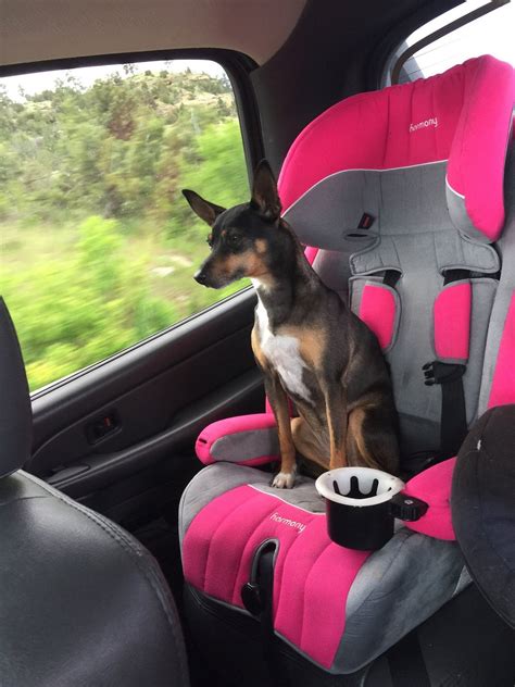 THE 10 BEST Restaurants in Laurel (Updated January 2024)