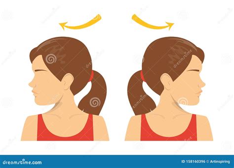 Image result for Contralateral Head Rotation