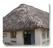 Sericulture::Silkworm Rearing