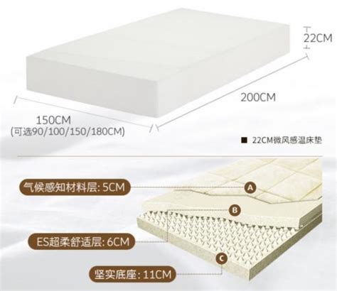 2023乳胶床垫的十大品牌推荐，乳胶床垫哪个牌子好？乳胶床垫的厚度选择，乳胶床垫的利弊+推荐指南 - 知乎
