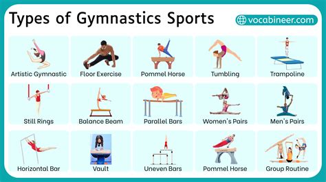 Types of Gymnastics Sports their Names and Pictures