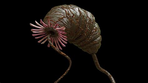 Image result for Alien Plant 3D Inseminate