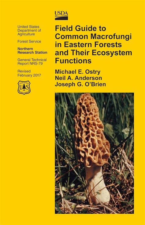 Field Guide to Common Macrofungi in Eastern Forests and Their Ecosystem ...