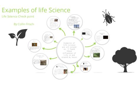 Image result for Life Science Examples