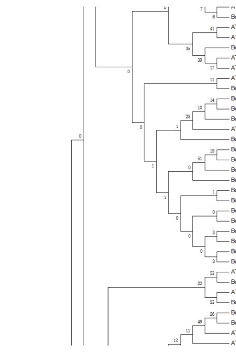 问下在做基因家族进化树时，建的树bootstrap好多为0，这对发文章数据影响吗？还有要怎么分析解释呢 - 组学大讲堂问答社区