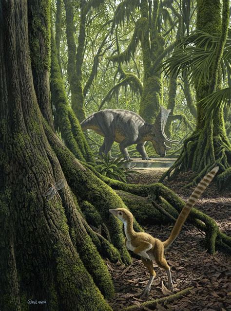 Extinct 的图像结果