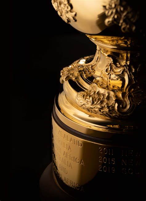 Rugby World Cup Trophy 的图像结果
