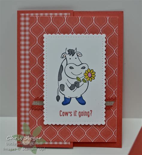 Image result for Fun Folds