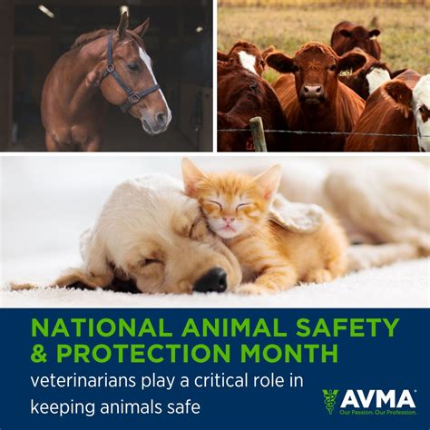 Pleasant Hill Animal Hospital posted on LinkedIn