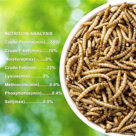 Buy RANZ 2LB & 5LB & 10LB Non-GMO Dried Mealworms for Chicken Feed ...