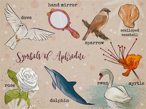 Aphrodite Symbol: Decoding the Love Goddess’ Sacred Items 🐚