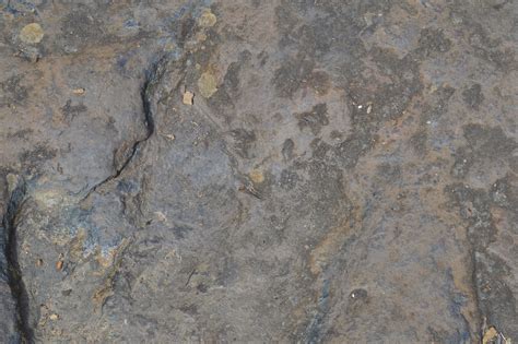 Dinosaur Footprints Reservation (Holyoke, MA) | New England Nomad